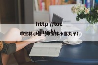 乖宝林小喜（乖宝林小喜丸子）